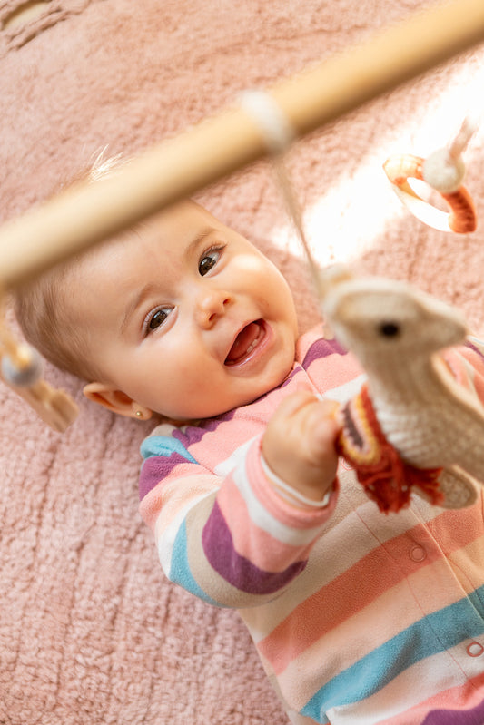 Gimnasio sensorial ALPACA