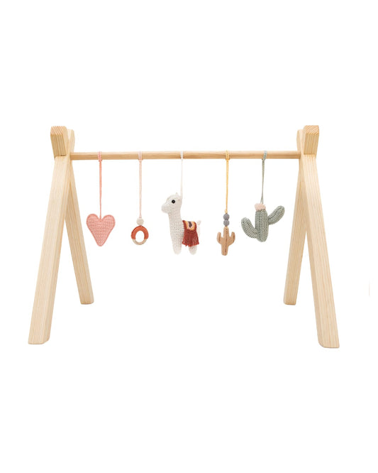 Gimnasio sensorial ALPACA